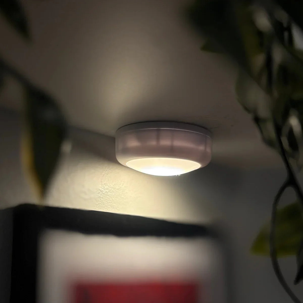 Floating Shelf Lights